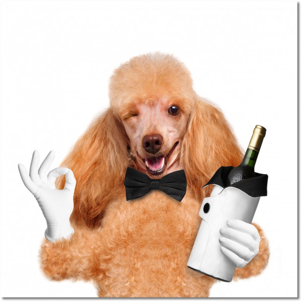 canvas-leinwandbild, bars, braun, champagner, essen-getranke, getraenke, hunde, hunde-katzen, lustig, orange, restaurants, sonstiges, tiere, verschiedene, weiss