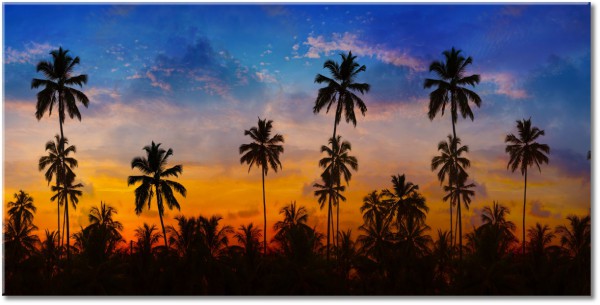 canvas-leinwandbild, andere-landschaften, blau, grau, himmel, landschaft, orange, palmen, schwarz, silhouetten, sonnenuntergang, wolken