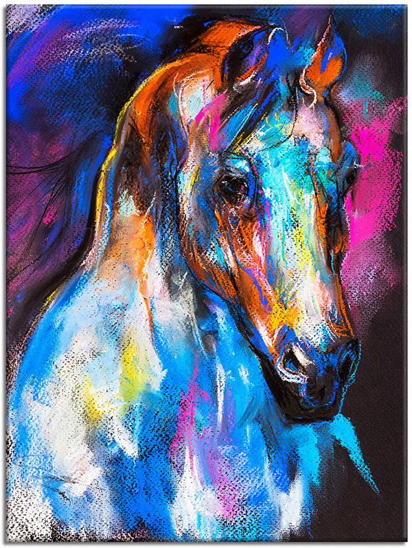 canvas-leinwandbild, blau, bunt, kunst, malereien, orange, pferde, pink, stillleben-andere-gemalde, tiere, violett, weiss, zeichnung