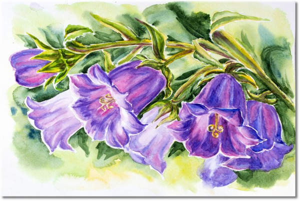 canvas print, art, blue, flowers, green, paintings, purple, still-life-other-paintings, watercolour