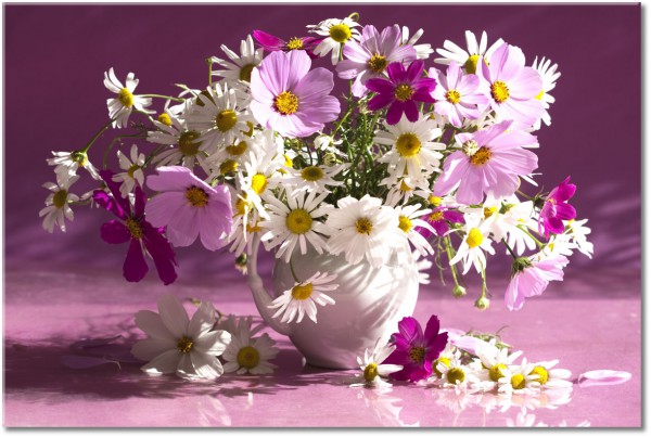 canvas print, flowers, purple, still-life, white