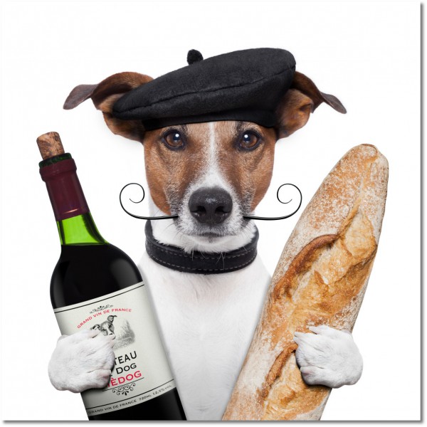 canvas print, animals, bars, beige, black, bread, brown, dogs, dogs-cats, drinks, food-drinks, funny, kitchen, miscellaneous, orange, others, restaurants, white, wine