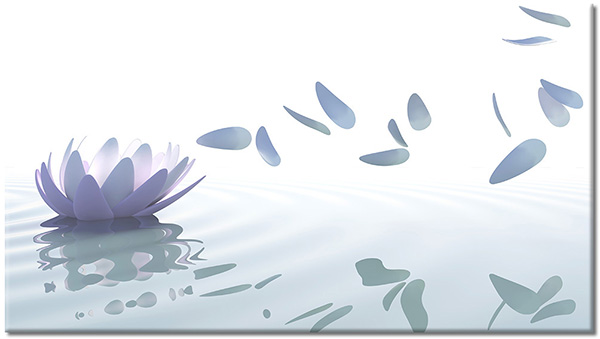 canvas print, abstract-fantasy, flowers, gray, lotus, petals, white