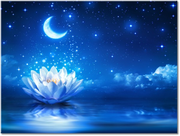 canvas print, abstract-fantasy, blue, clouds, feng-shui-zen, flowers, lotus, moon, night, sky, stars, water, white