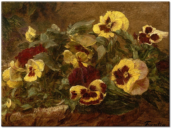 canvas print, art, brown, fantin-latour, flowers, green, painters, paintings, pansies, purple, still-life, still-life-other-paintings, yellow