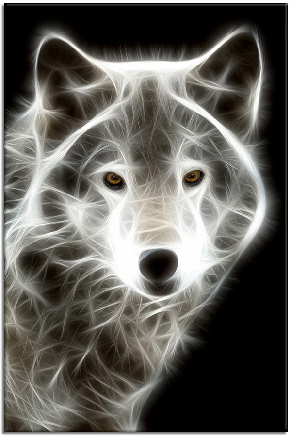 canvas print, abstract-fantasy, animals, black, black-white, drawing, eyes, gray, white, wildlife, wolfs