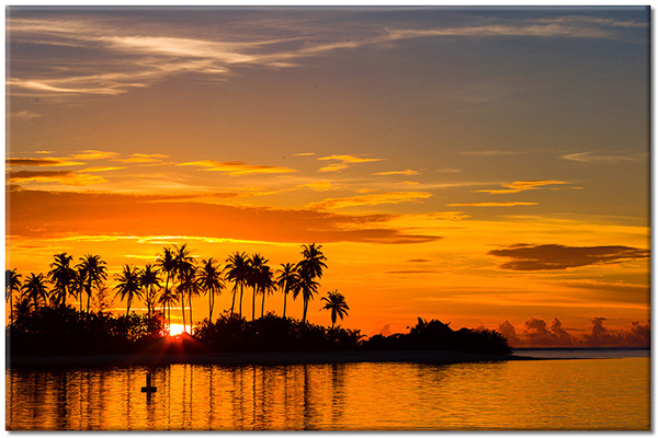 canvas print, black, clouds, landscapes, orange, palm-trees, sea-waterfalls-lakes, silhouettes, sky, sun, sunset, trees
