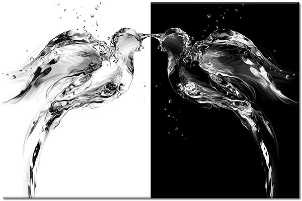 canvas print, abstract-fantasy, animals, birds, birds-fish-insects, black, black-white, flight, gray, symmetry, water, white