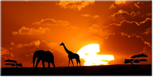 tableau sur toile, afrique, animaux, animaux-sauvages, autres-paysages, ciel, elephants, girafe, jaune, noir, nuages, orange, paysages, silhouettes, soleil