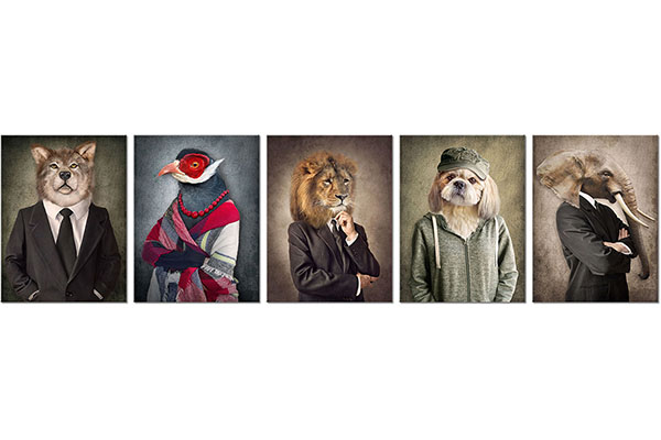 set of 5 canvas prints: Fashionable animals