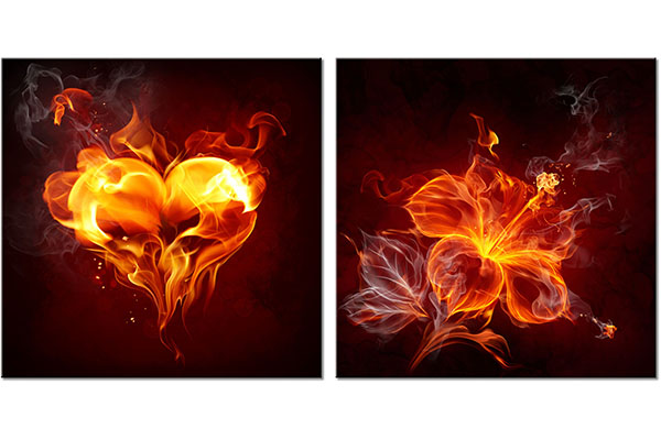 set of 2 canvas prints: Heart and Fire Flower